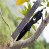 Outdoor Multi Function Portable Folding Hunting Knives